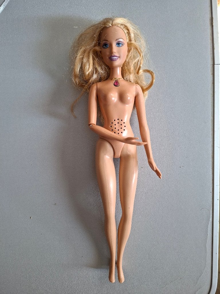 barbie de zingende  Anneliese prinses en de bedelaar., Ophalen of Verzenden, Gebruikt, Barbie