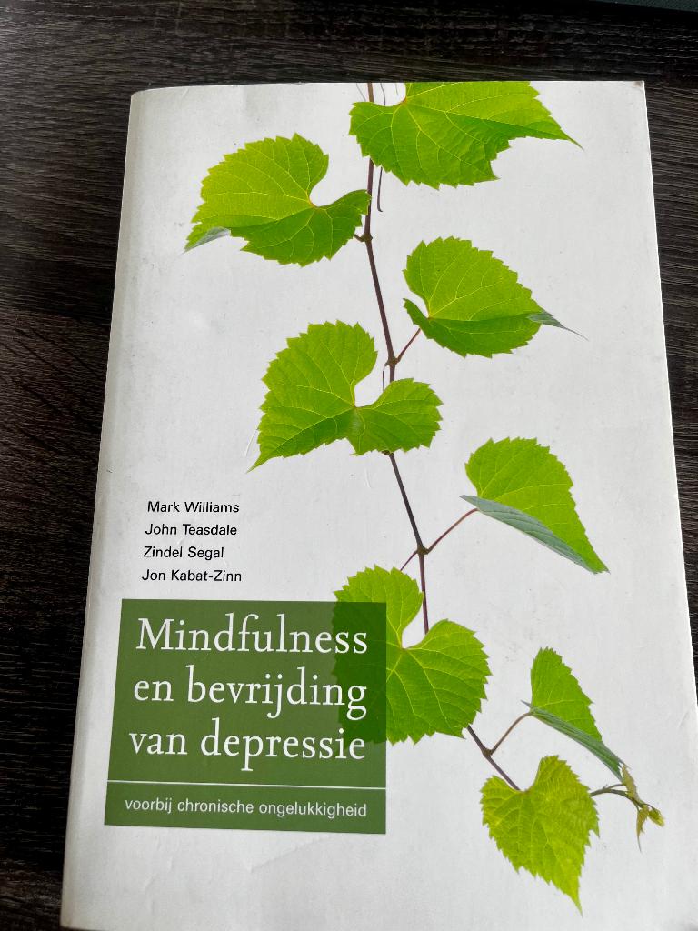 Mindfulness en bevrijding van depressie, Boeken, Ophalen of Verzenden, Gelezen, Diverse auteurs