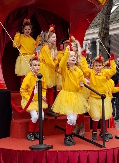 Set kuiken pakjes, Ophalen of Verzenden, Gebruikt, Jongen of Meisje