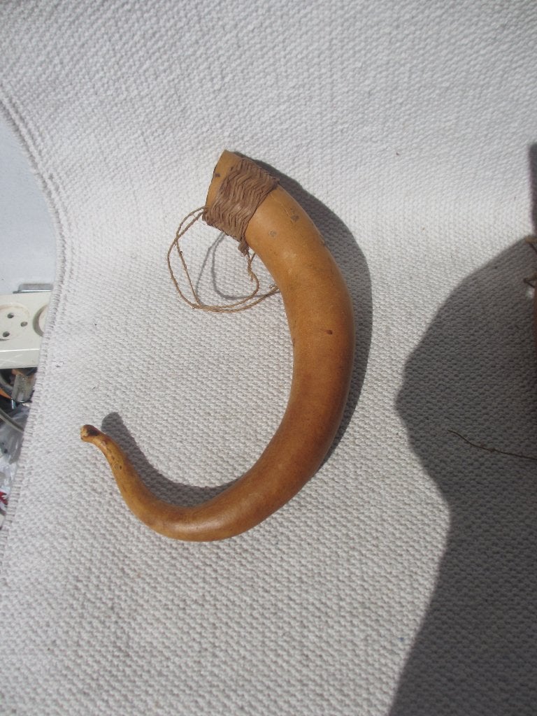 3x Koteka (Peniskoker) Papua Nieuw Guinea, Antiek en Kunst, Natuurlijk materiaal, Overige typen, Papoea-Nieuw-Guinea, Handgemaakt