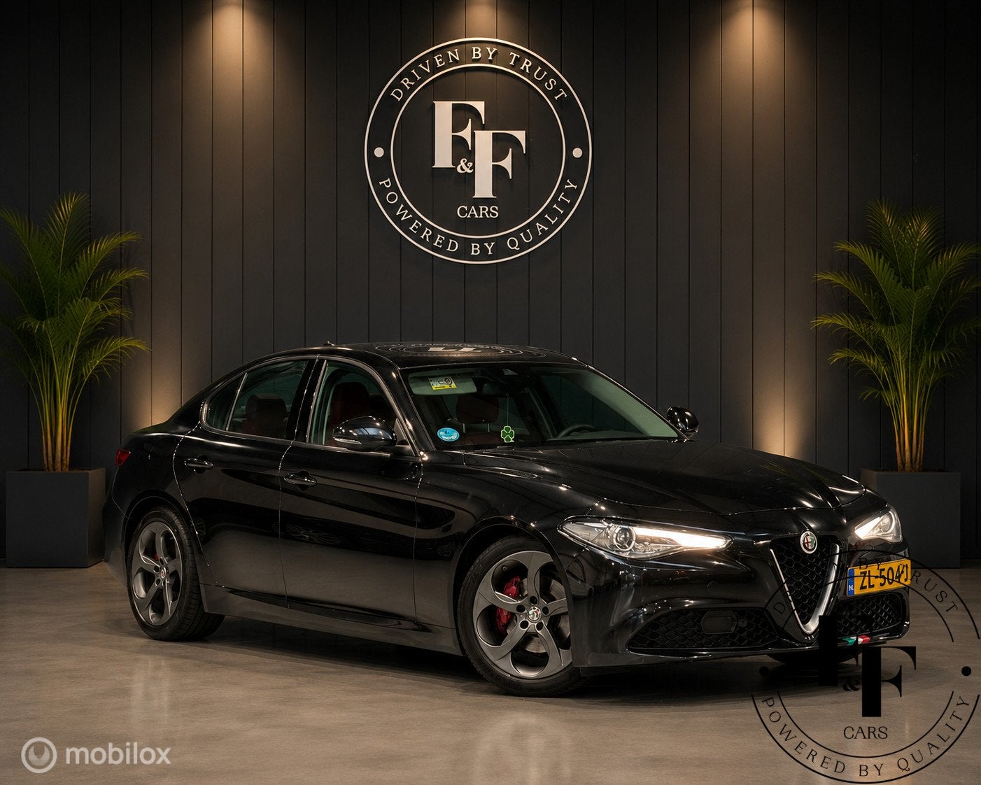 Alfa Romeo Giulia 2.2 Super|Automaat|Leder|Harman Kardon|Cam, Automaat, 745 kg, Euro 6, 4 cilinders