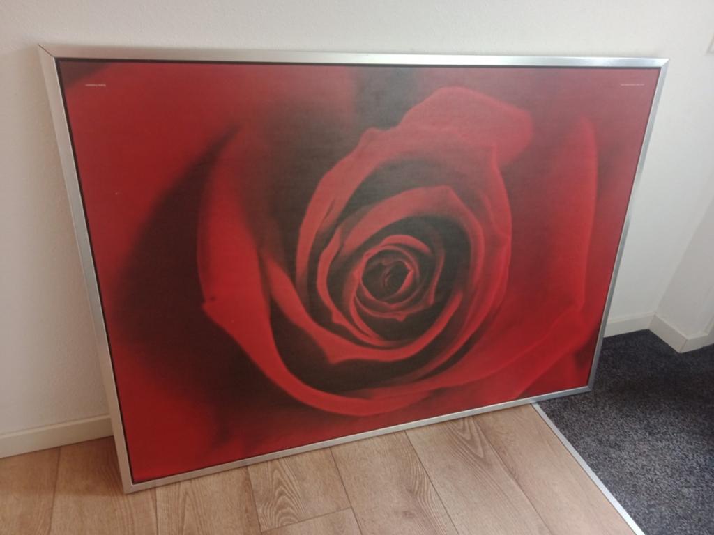 Roos schilderij,100. cm / 140 cm., Ophalen of Verzenden