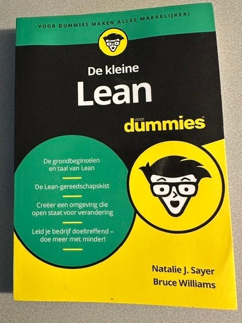 Boek De kleine lean voor dummies, Boeken, Ophalen of Verzenden, Gelezen