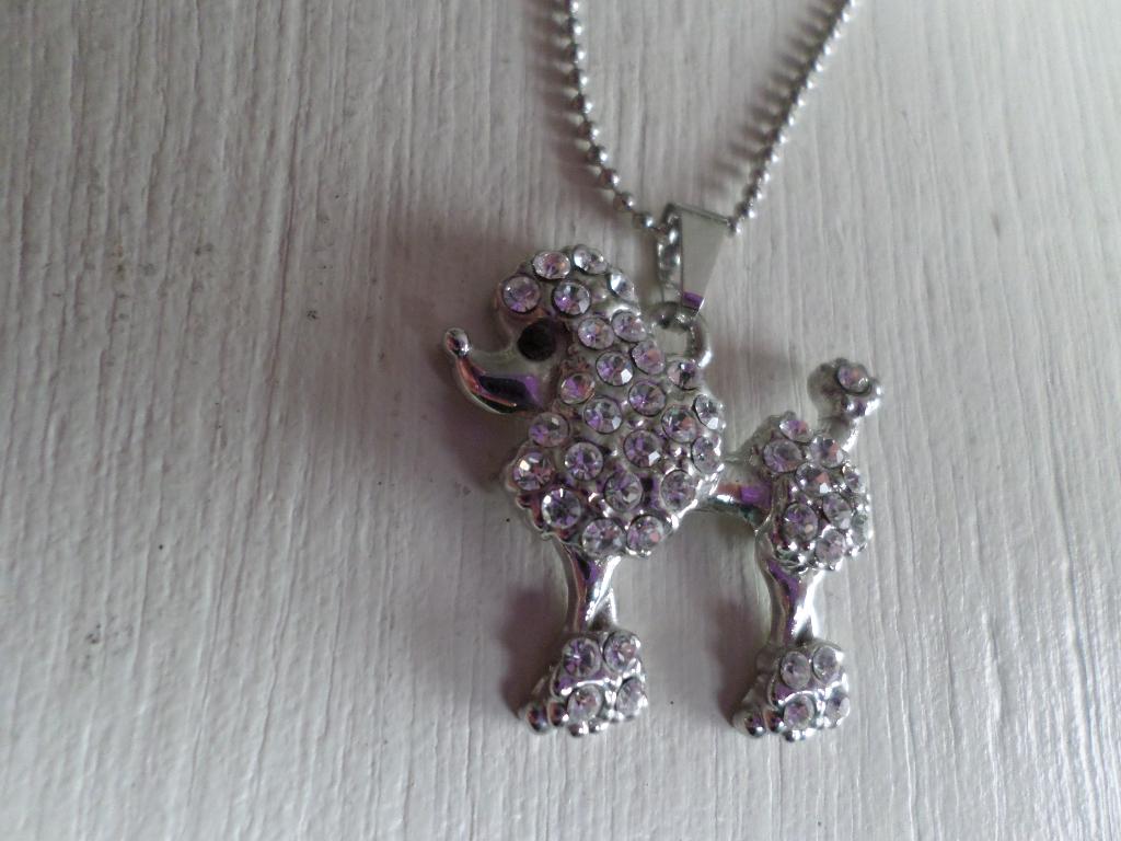 Zilverkleurige Poedel aan een Zilverkleurige Ketting, Sieraden, Tassen en Uiterlijk, Nieuw, Ophalen of Verzenden, Zilver, Overige materialen