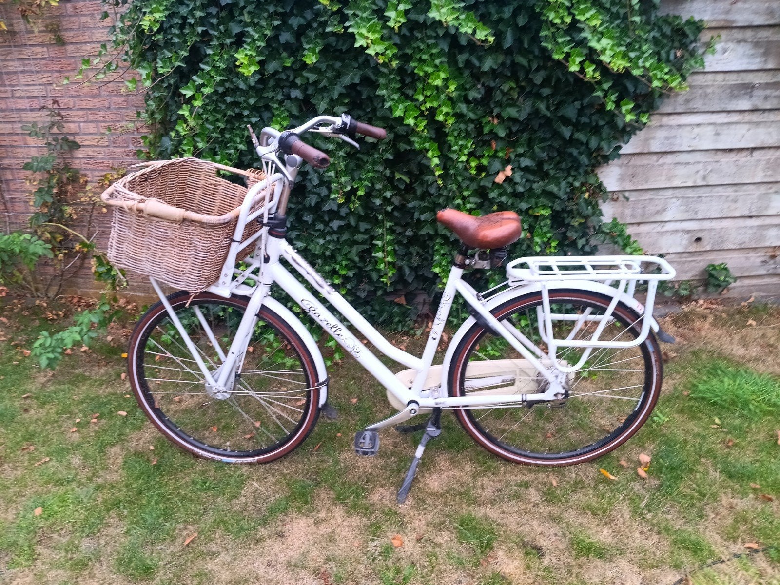 Gazelle Miss Grace damesfiets met mand, Ophalen, Terugtraprem, Versnellingen, Gazelle