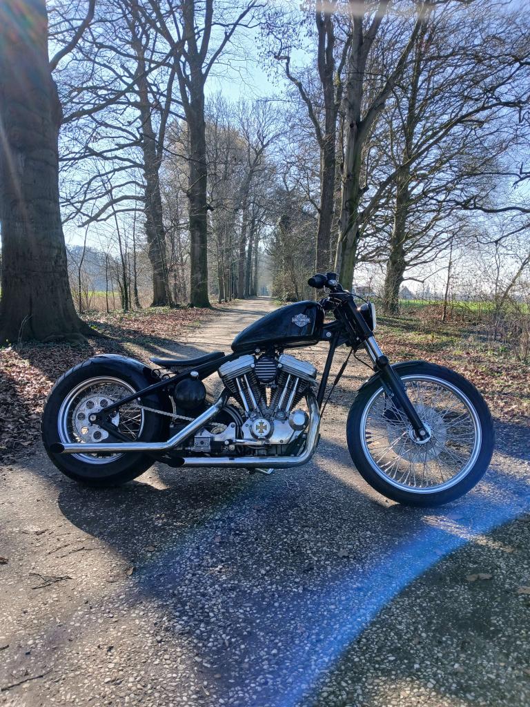 Harley-Davidson Eigenbouw Custom Chopper, Niet ingevuld, 2 cilinders, Chopper, Bedrijf