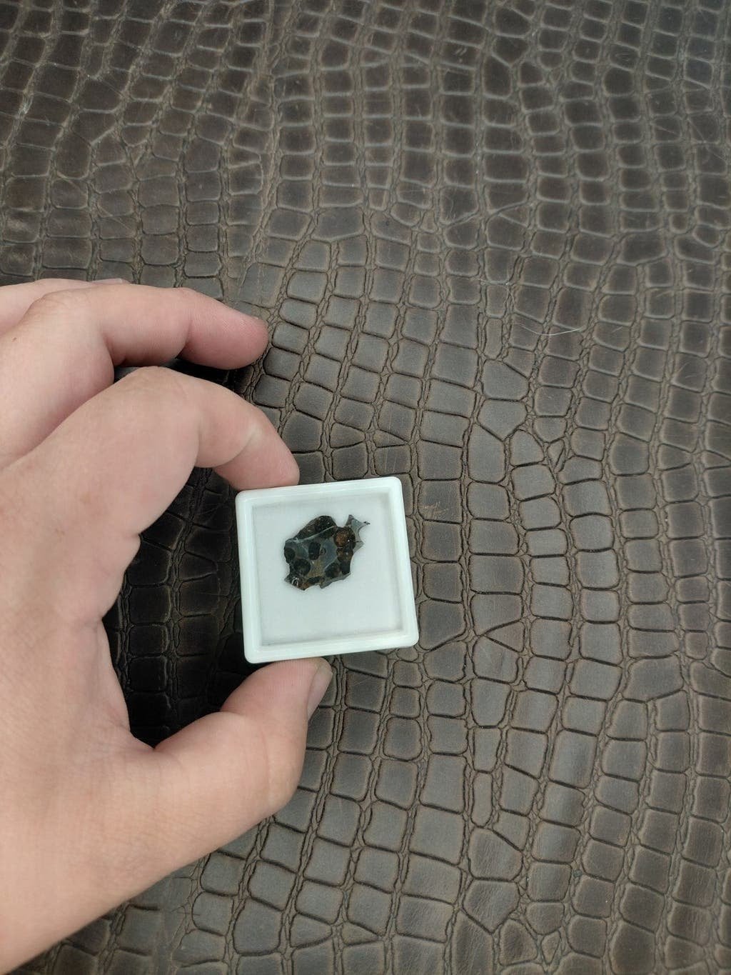 Sericho meteoriet slice met pallasite kristallen structuur, Ophalen of Verzenden