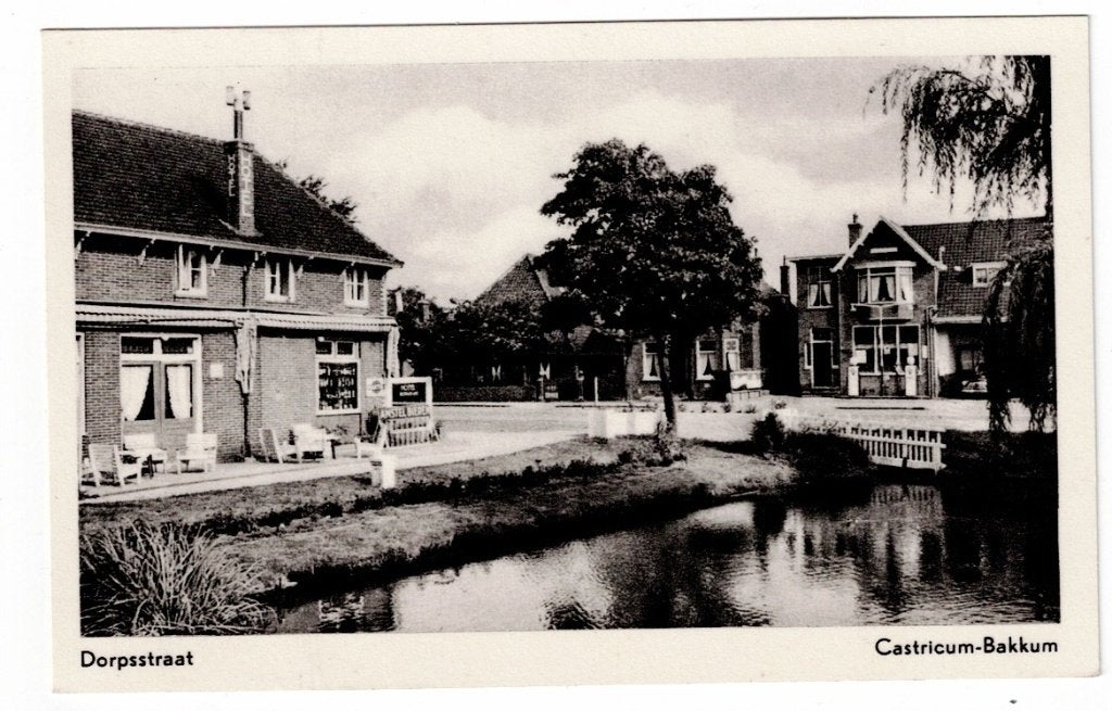 Castricum - Bakkum. De Dorpsstraat., Ophalen of Verzenden, Ongelopen, Noord-Holland