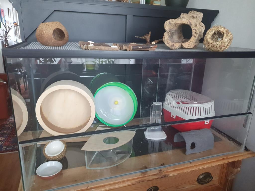Groot Hamster/Muis Kooi met spullen, Dieren en Toebehoren, Minder dan 60 cm, Kooi, Minder dan 75 cm, Ophalen of Verzenden