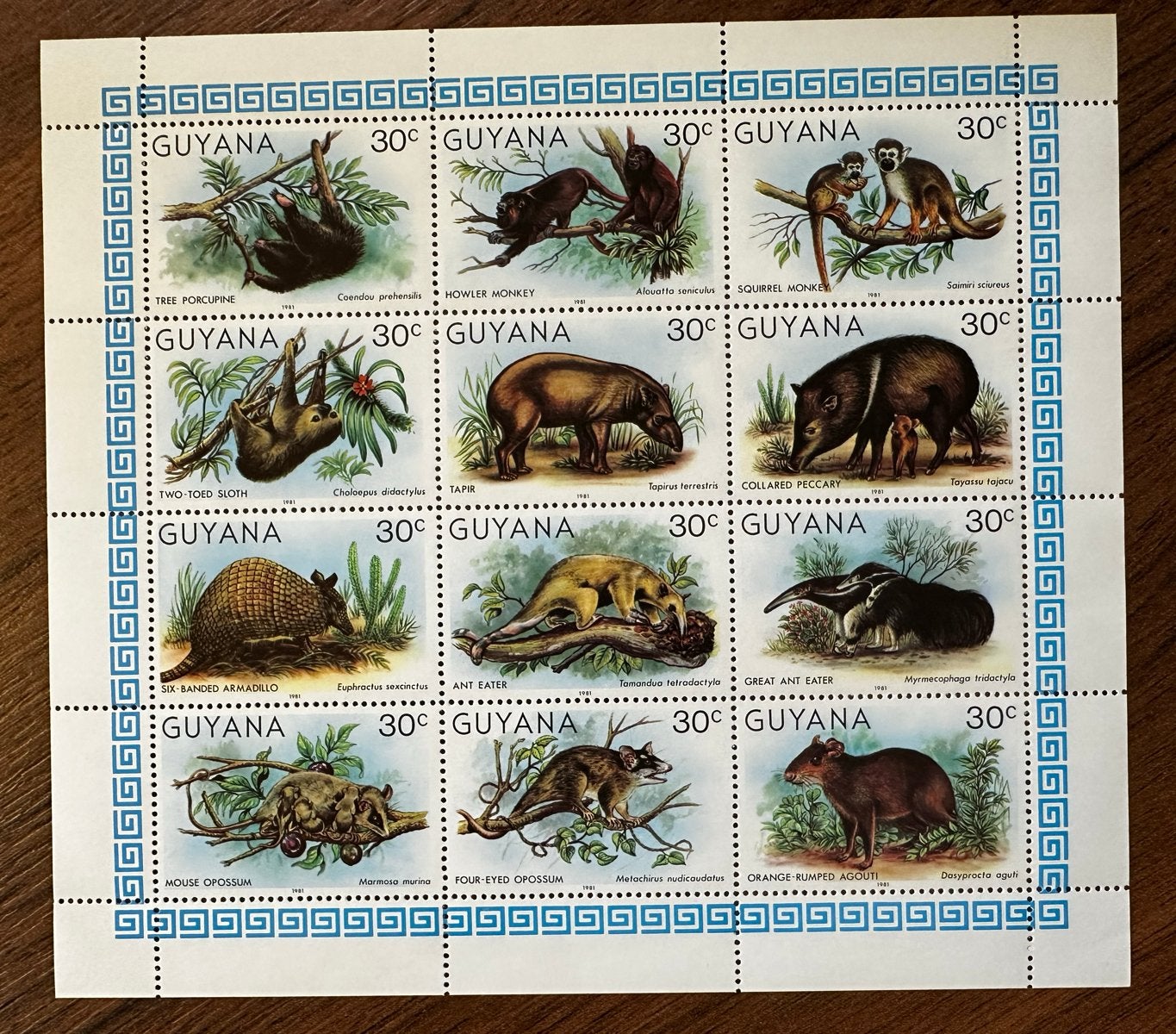Guyana 1981 Dieren apen Postfris Postzegelvel, Ophalen of Verzenden, Postfris