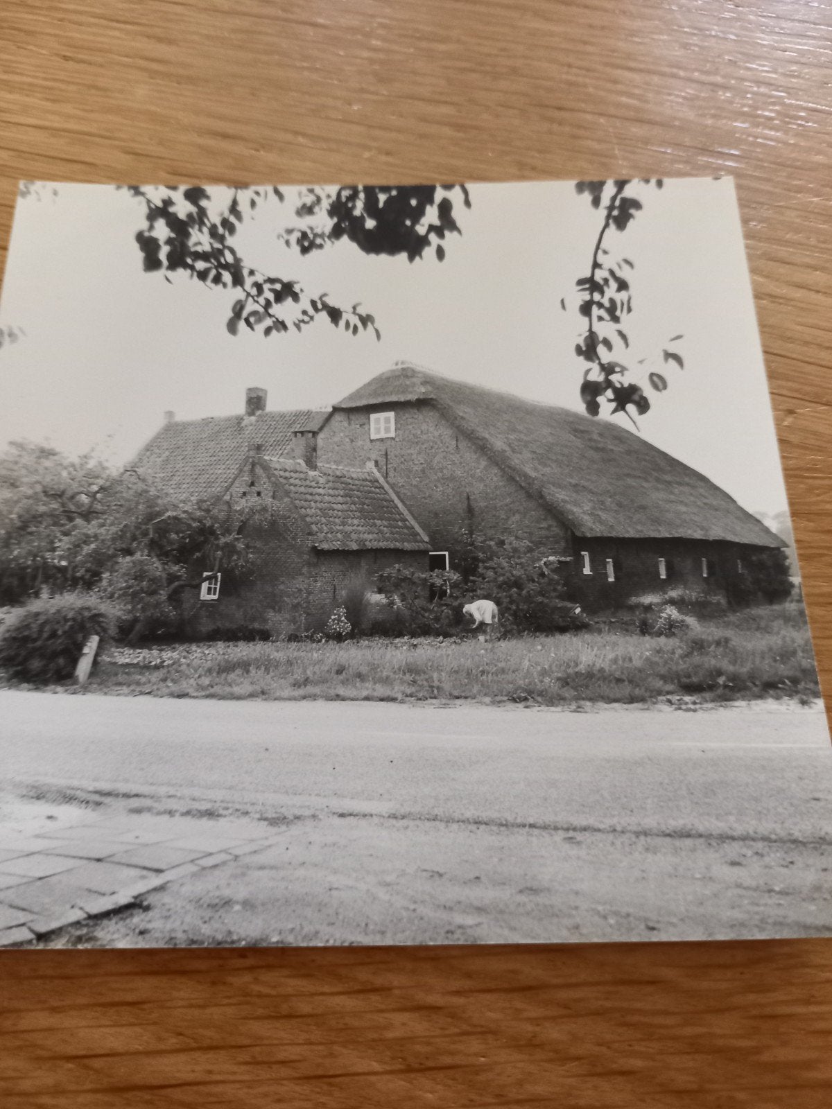 Heesbeen, Ophalen of Verzenden, Zo goed als nieuw, Overige onderwerpen