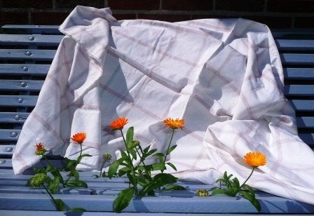 Witte lap stof voor tafellaken / high tea + Ontbijt, 120 cm of meer, Wit, Nieuw, Ophalen of Verzenden