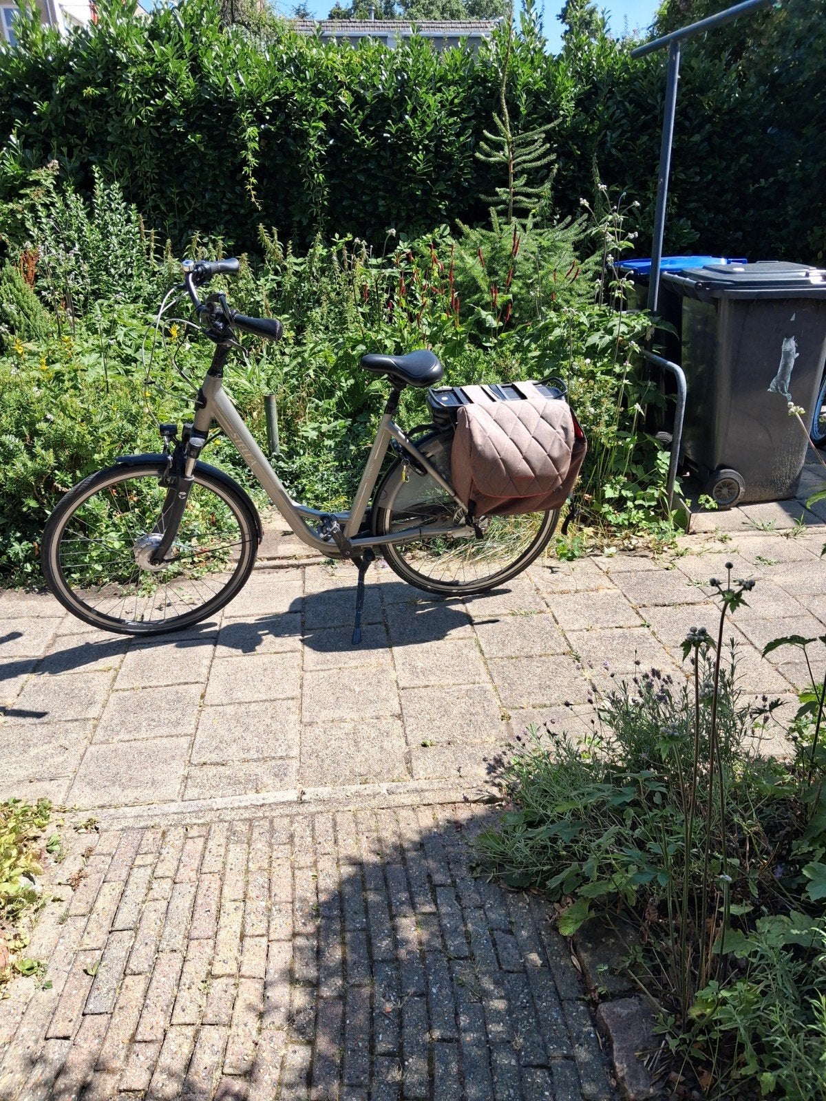 Stella Livorno elektrische fiets met fietstassen, Fietsen en Brommers, Ophalen
