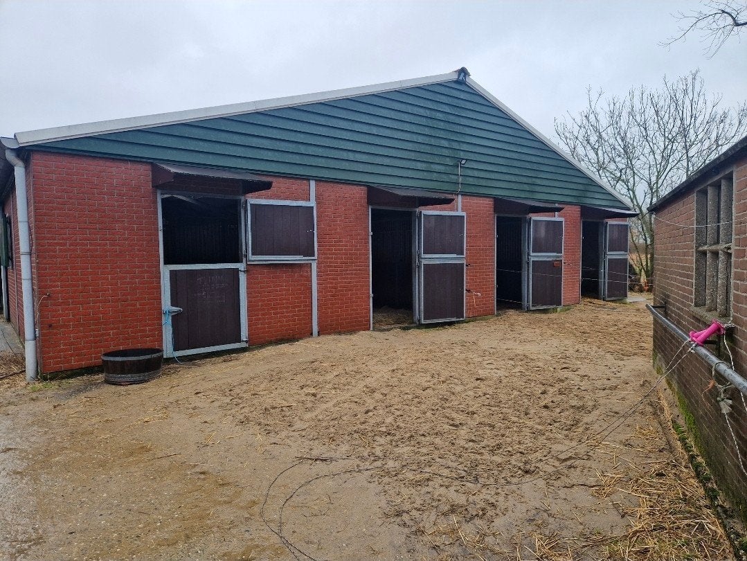 all inclusief of alles zelf doen, boxen beschikbaar., Dieren en Toebehoren, Stalling, 4 paarden of pony's of meer
