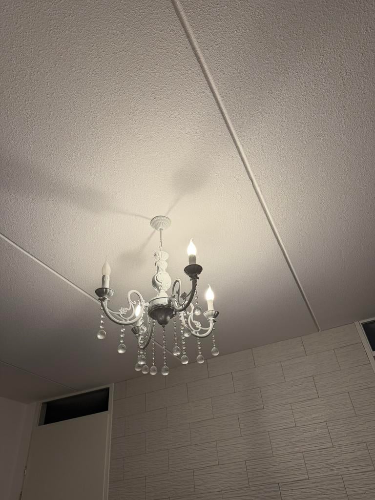 Hanglamp, Huis en Inrichting, Ophalen of Verzenden, Zo goed als nieuw