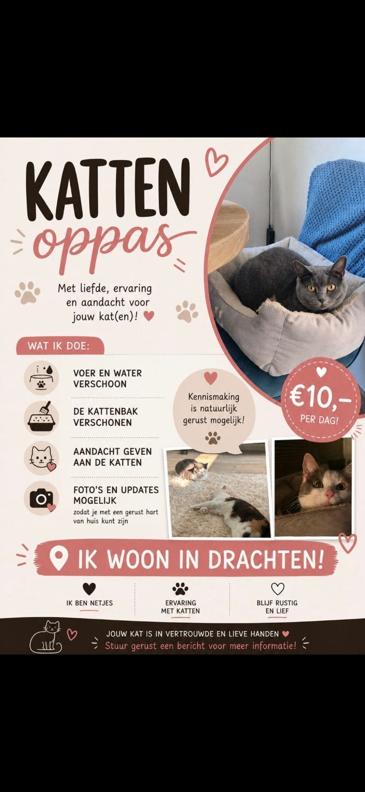 Katten oppas