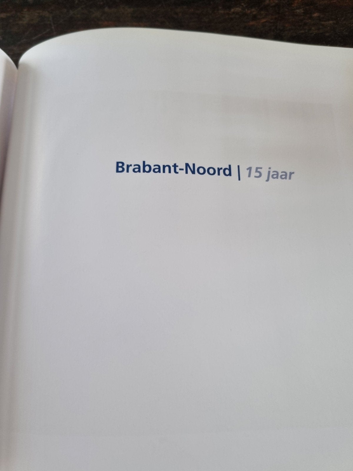 "Politie Brabant- Noord " 15 jaar, Ophalen of Verzenden, Zo goed als nieuw
