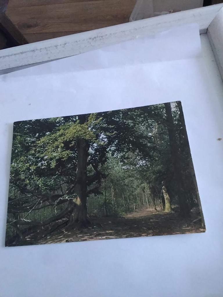 GROETEN UIT  RUURLO, Ophalen of Verzenden