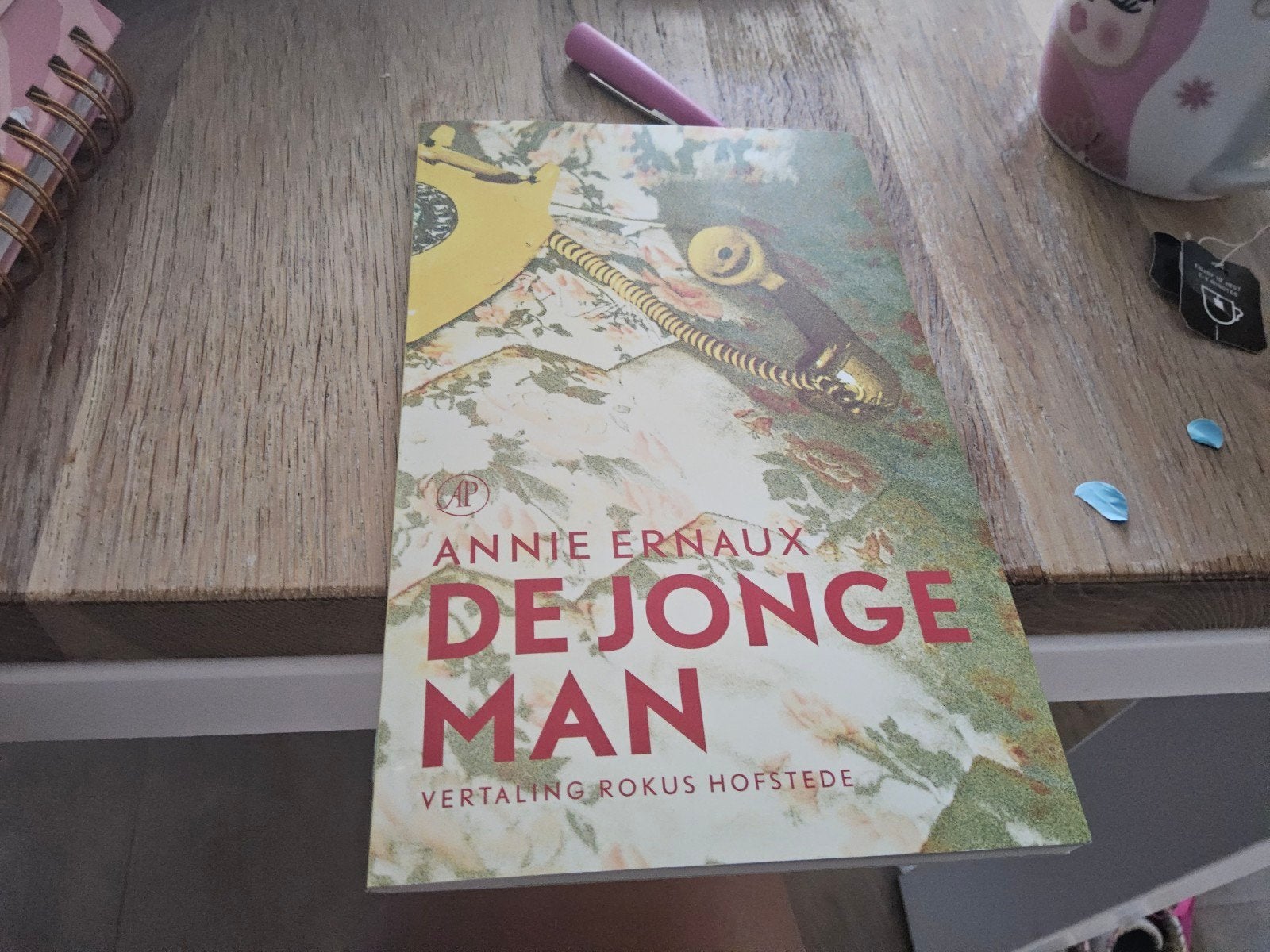 De Jonge Man - Annie Ernaux (Nobelprijs Literatuur 2022), Ophalen of Verzenden, Zo goed als nieuw, Annie Ernaux, Europa overig