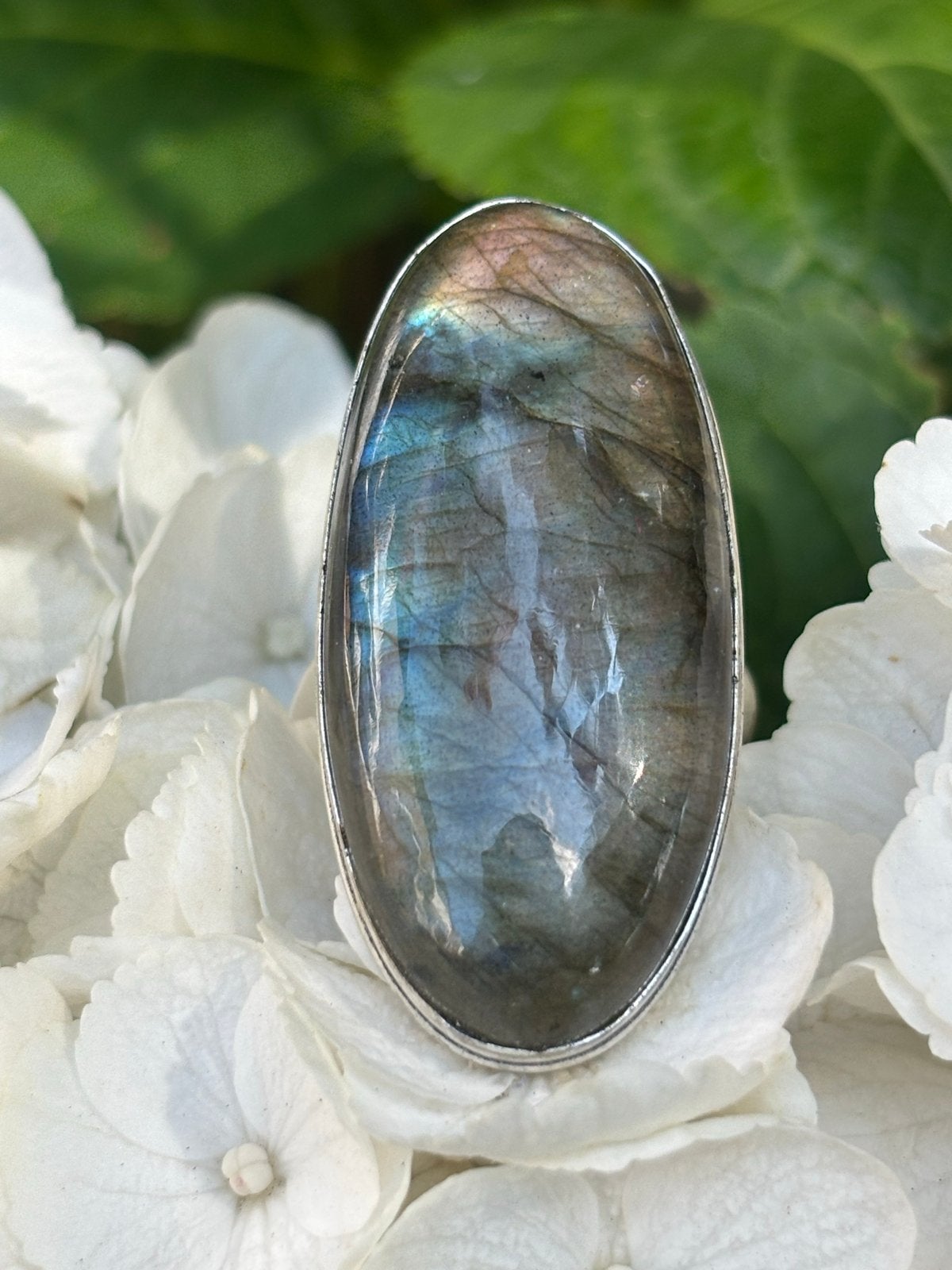 Prachtige Labradoriet Ring Maat 17, Sieraden, Tassen en Uiterlijk, Ringen, Overige kleuren, Nieuw, Ophalen of Verzenden, 17 tot 18