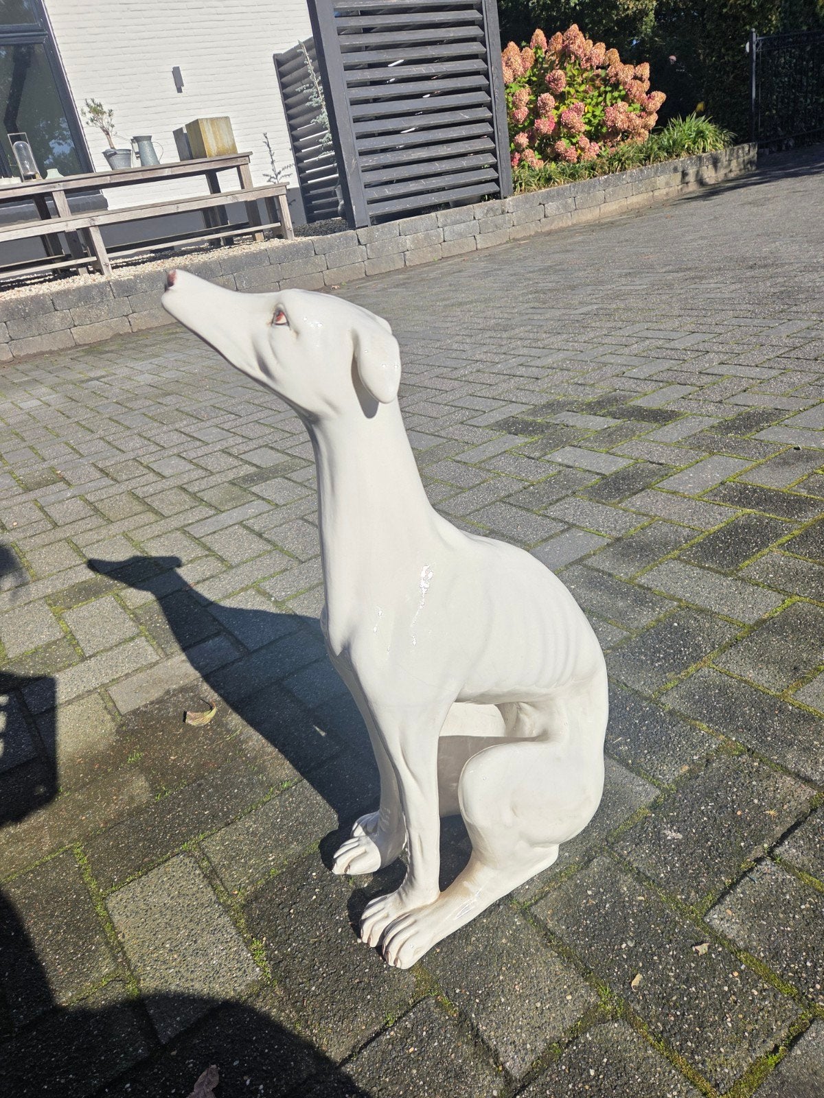 Grote Italiaans vintage windhond beeld - wit keramiek, Ophalen, Vintage, Zo goed als nieuw, Wit