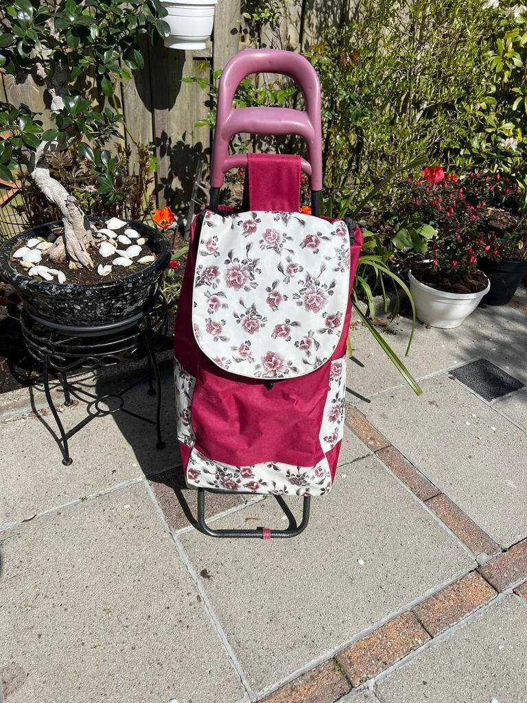 boodschappen trolley, Sieraden, Tassen en Uiterlijk, Tassen | Reistassen en Weekendtassen, Ophalen of Verzenden, Zo goed als nieuw