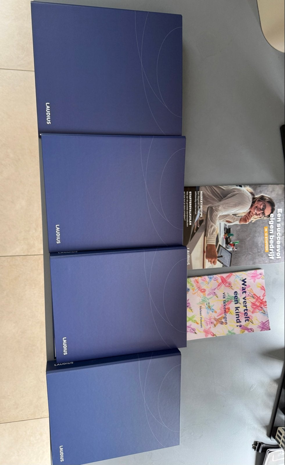 Laudius Opleiding Pedagogiek en Opvoedcoach (4 mappen), Ophalen, Gamma, Zo goed als nieuw, MBO
