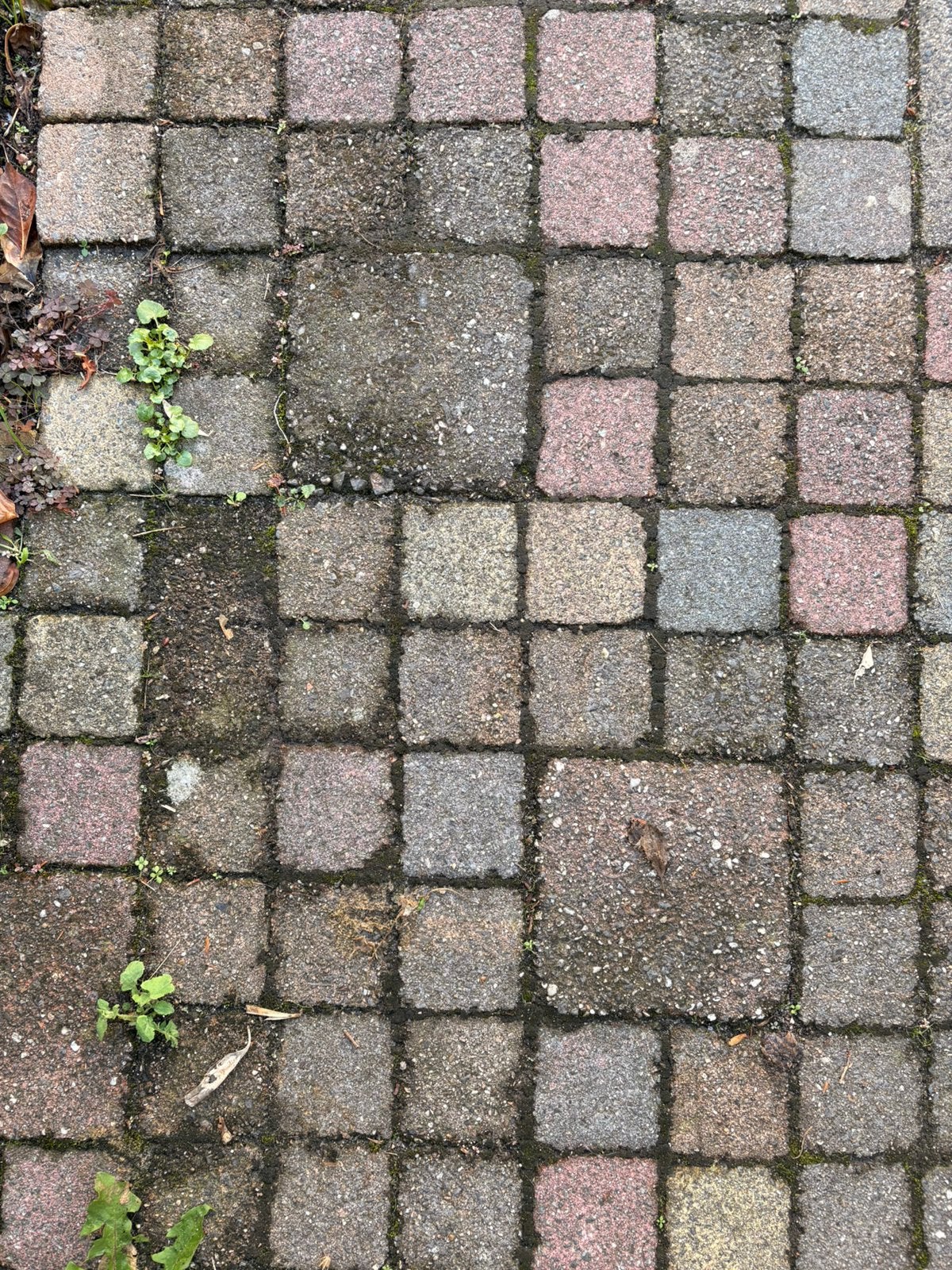 Gratis Cobblestones 10x10 200 stuks, Tuin en Terras, Ophalen, Klinkers, Zo goed als nieuw, Minder dan 5 m²