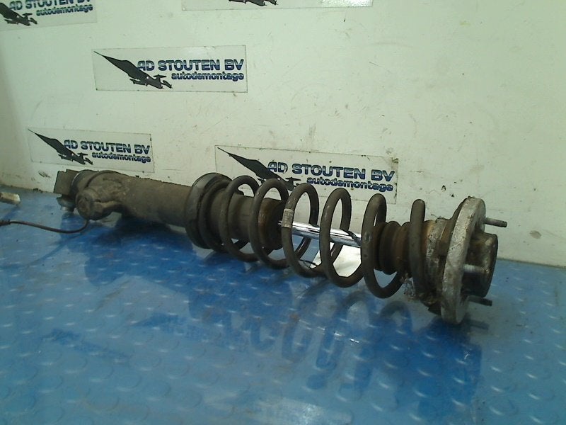 Veerpoot Links Achter BMW 5 serie (F10) (2010-09/2011-08), Auto-onderdelen, Gebruikt, Petuelring 130, München 80809, , Duitsland