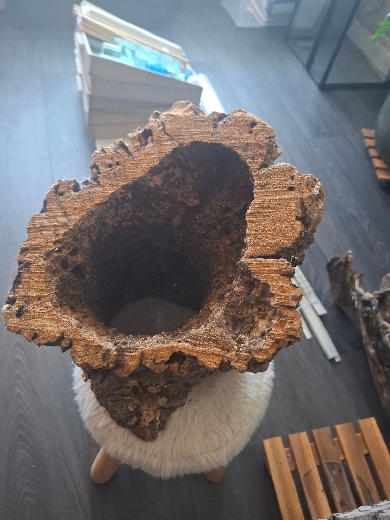 Groot stuk schors nieuw, Ophalen, Nieuw, Terrarium of Paludarium