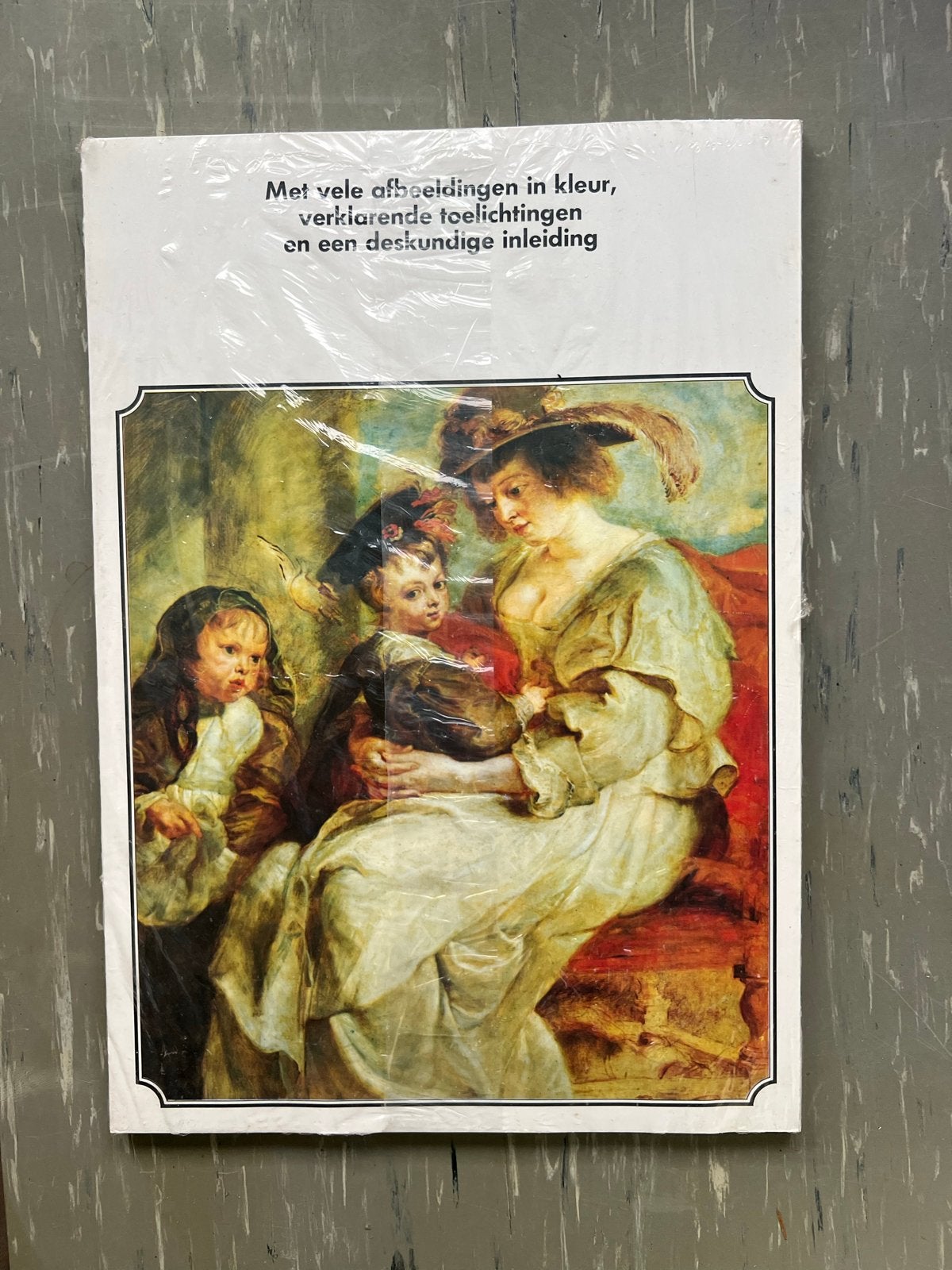 Kunstboek: Rubens met kleurenillustraties en inleiding, Ophalen of Verzenden, Zo goed als nieuw, Schilder- en Tekenkunst