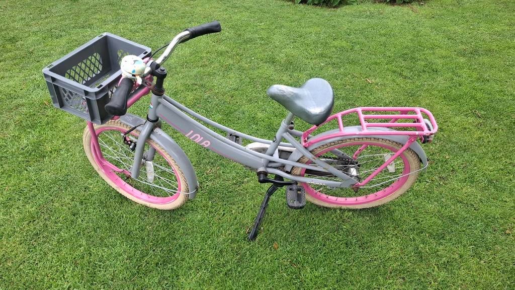 Lola Kinderfiets 20 inch met mandje en bagagedrager, Ophalen of Verzenden, Gebruikt, 20 inch of meer