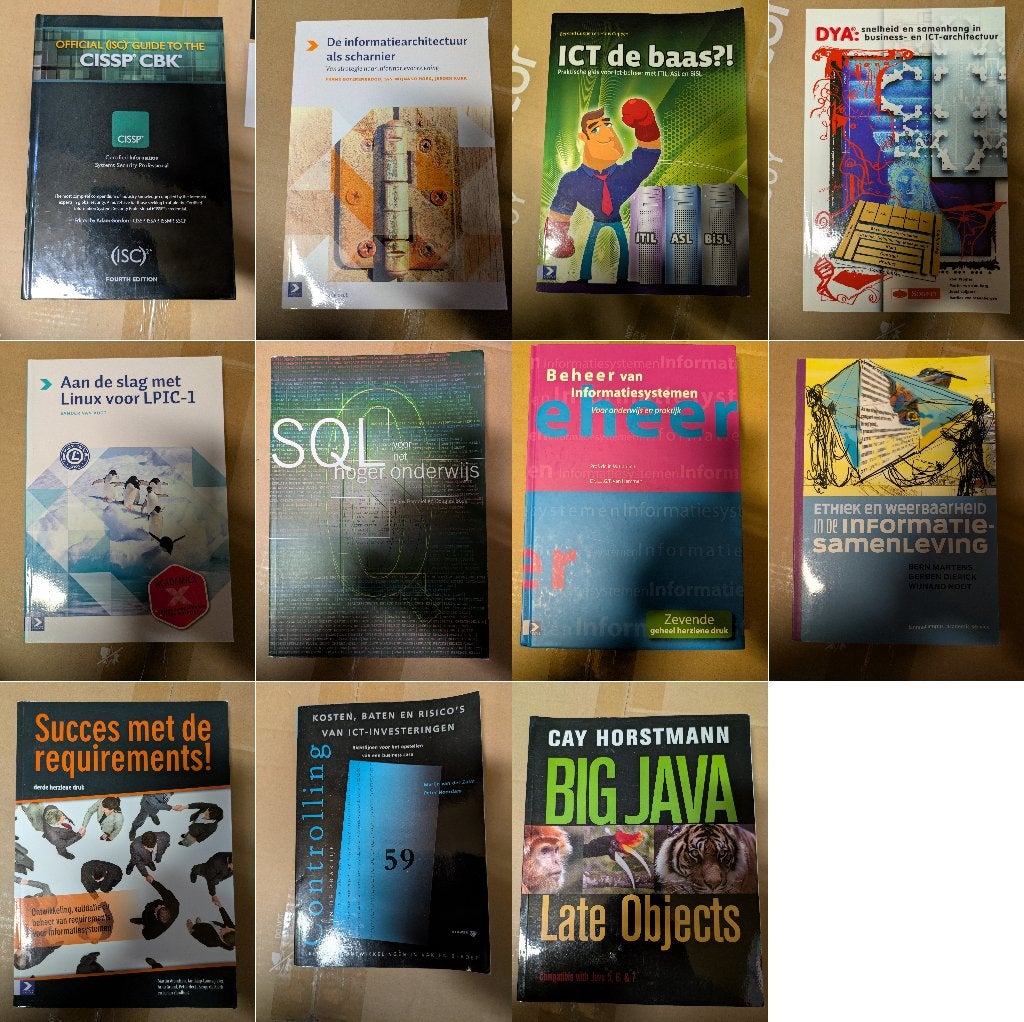 HBO-ICT ITSM Linux ITIL ASL BiSL Java CISSP boeken, Diverse auteurs, Zo goed als nieuw, Beta, HBO
