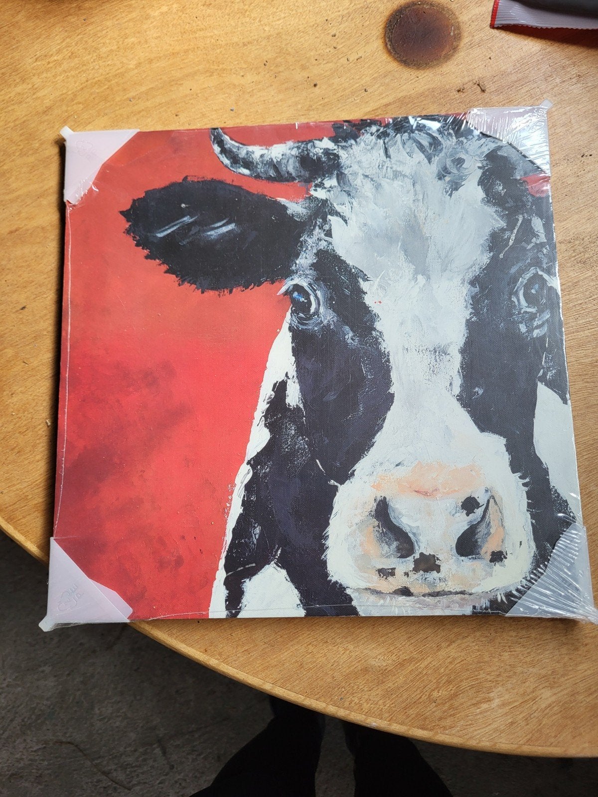 Schilderij koe 20x20 cm, nieuw in verpakking, Ophalen