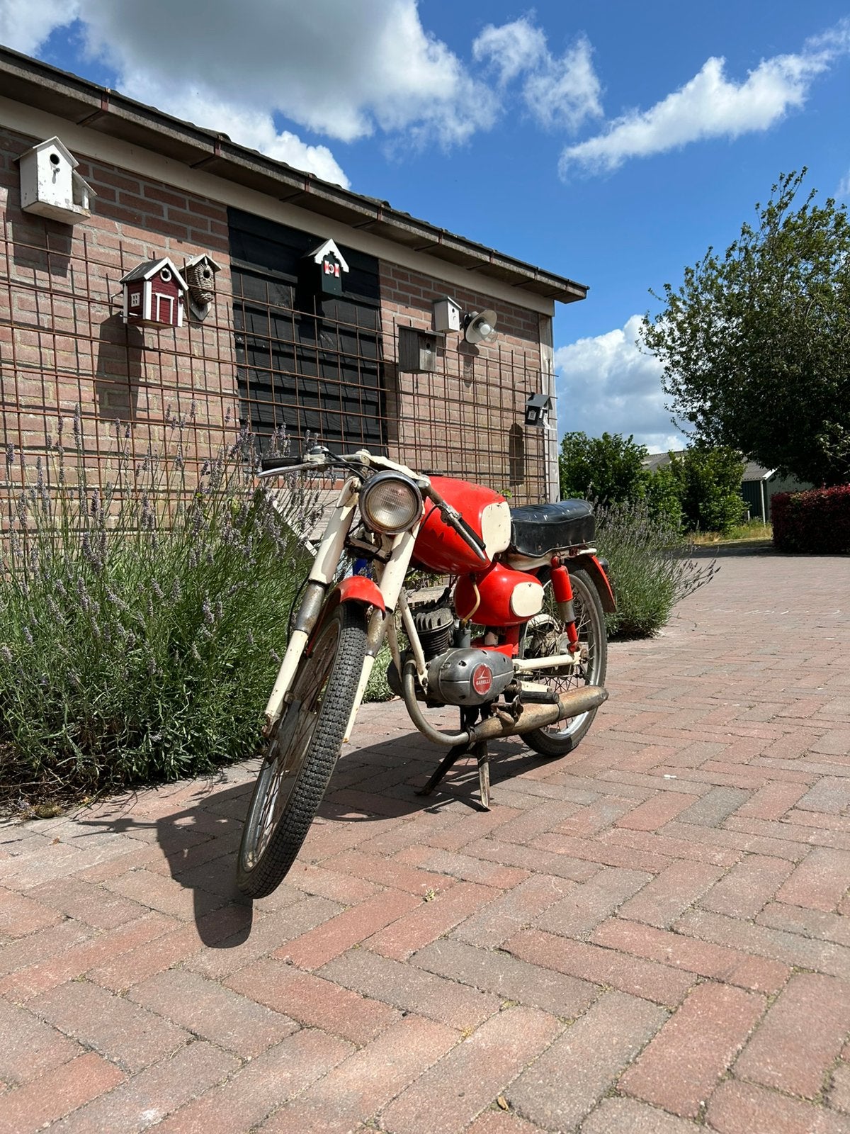 Garelli 555 junior super sport, Fietsen en Brommers, Brommers | Oldtimers, Ophalen, Overige merken
