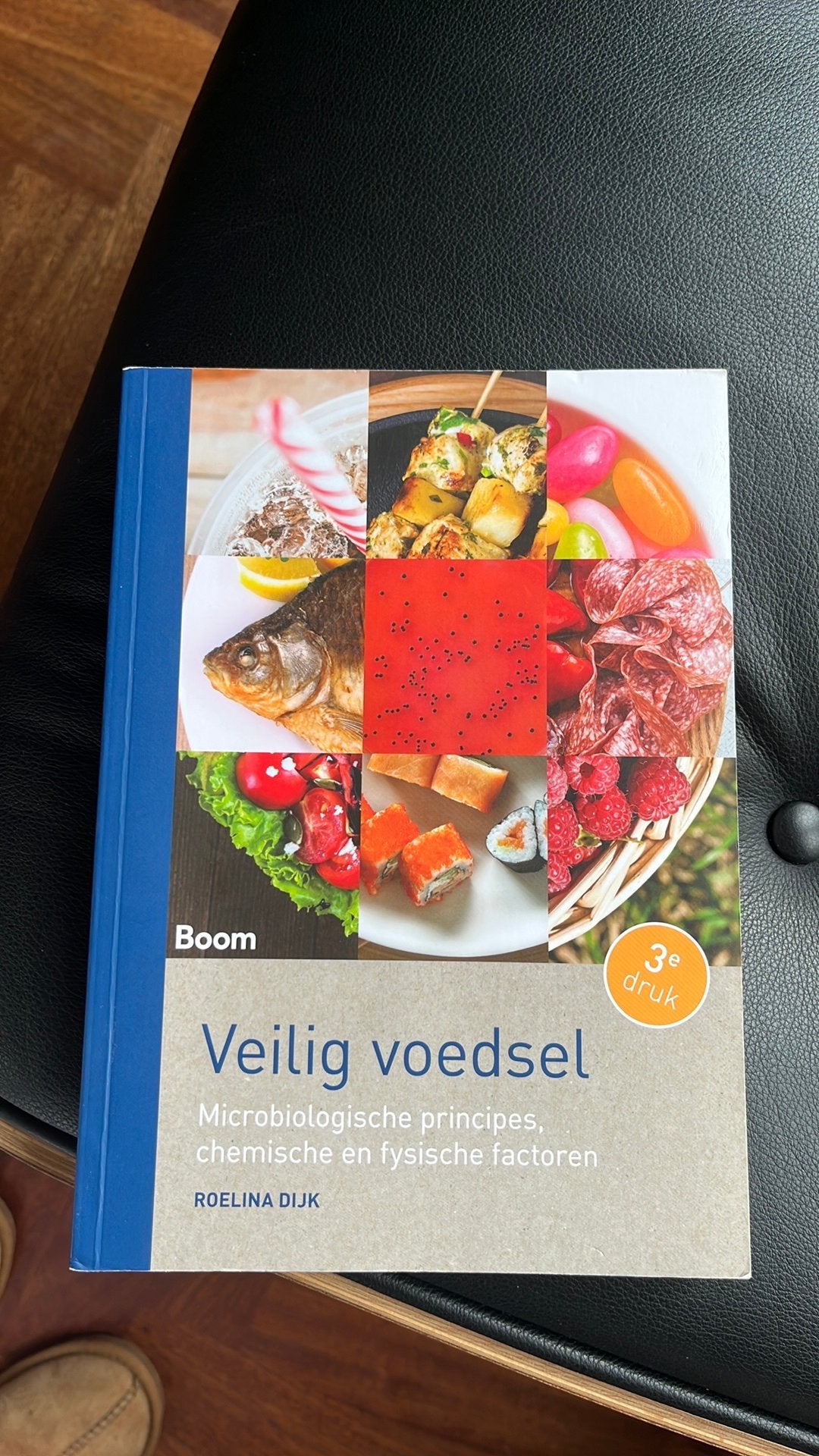 Roelina Dijk - Veilig voedsel, Sociale wetenschap, Ophalen of Verzenden, Zo goed als nieuw, Roelina Dijk
