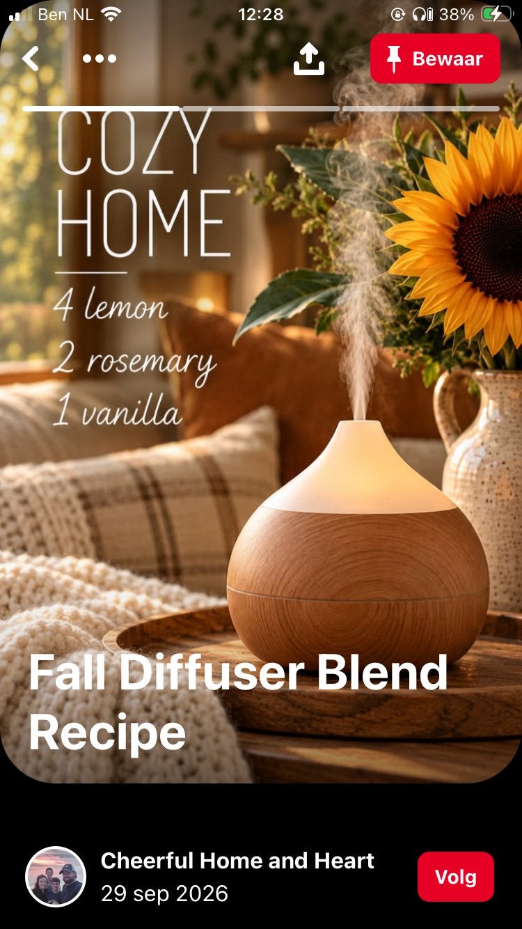 Diverse Essentiële Olie Diffusers - Gebruikt, Huis en Inrichting, Ophalen of Verzenden, Gebruikt