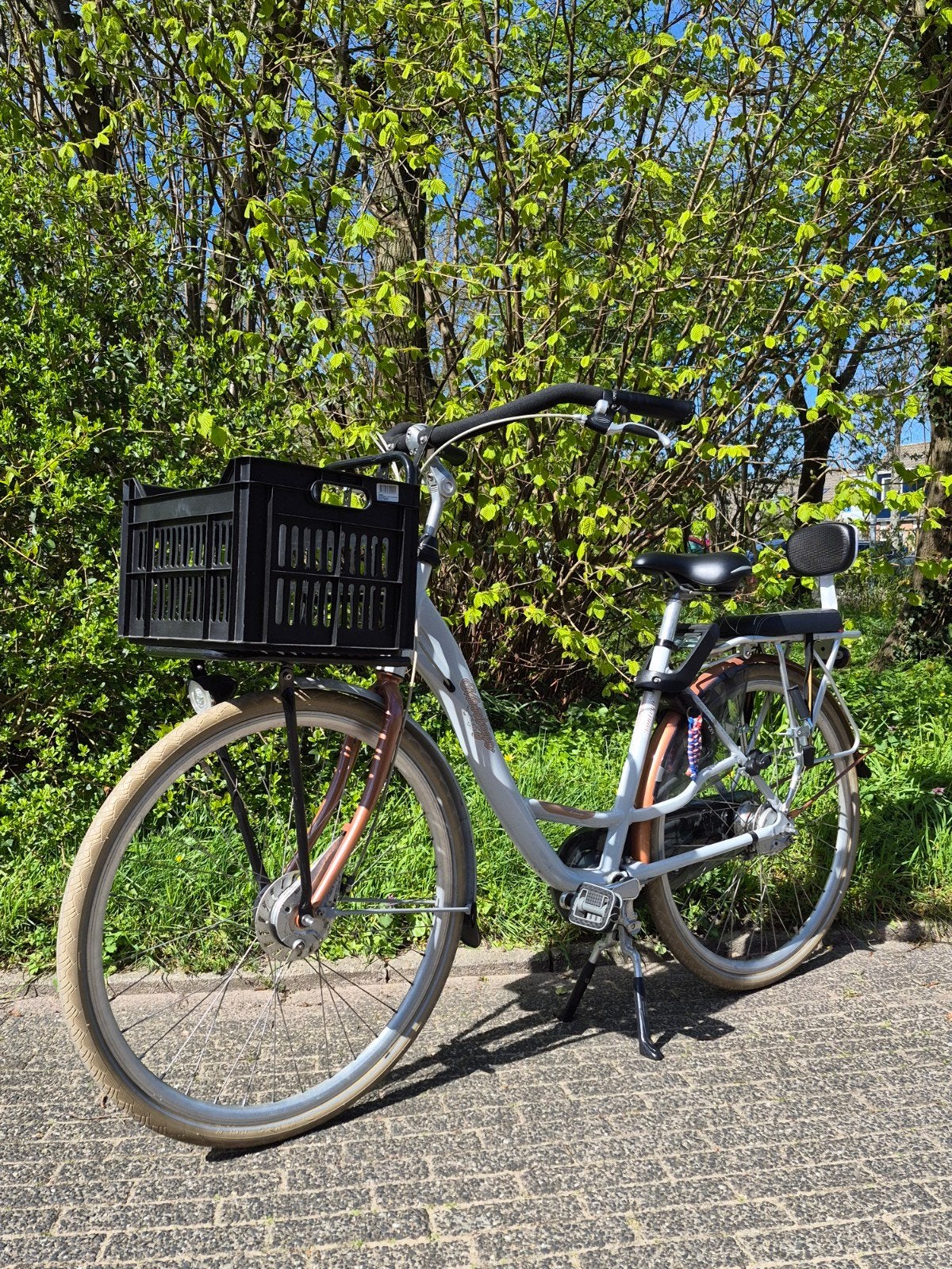 Damesfiets met voordrager en kinderzitje, Overige merken, Velgrem, Versnellingen, Ophalen of Verzenden