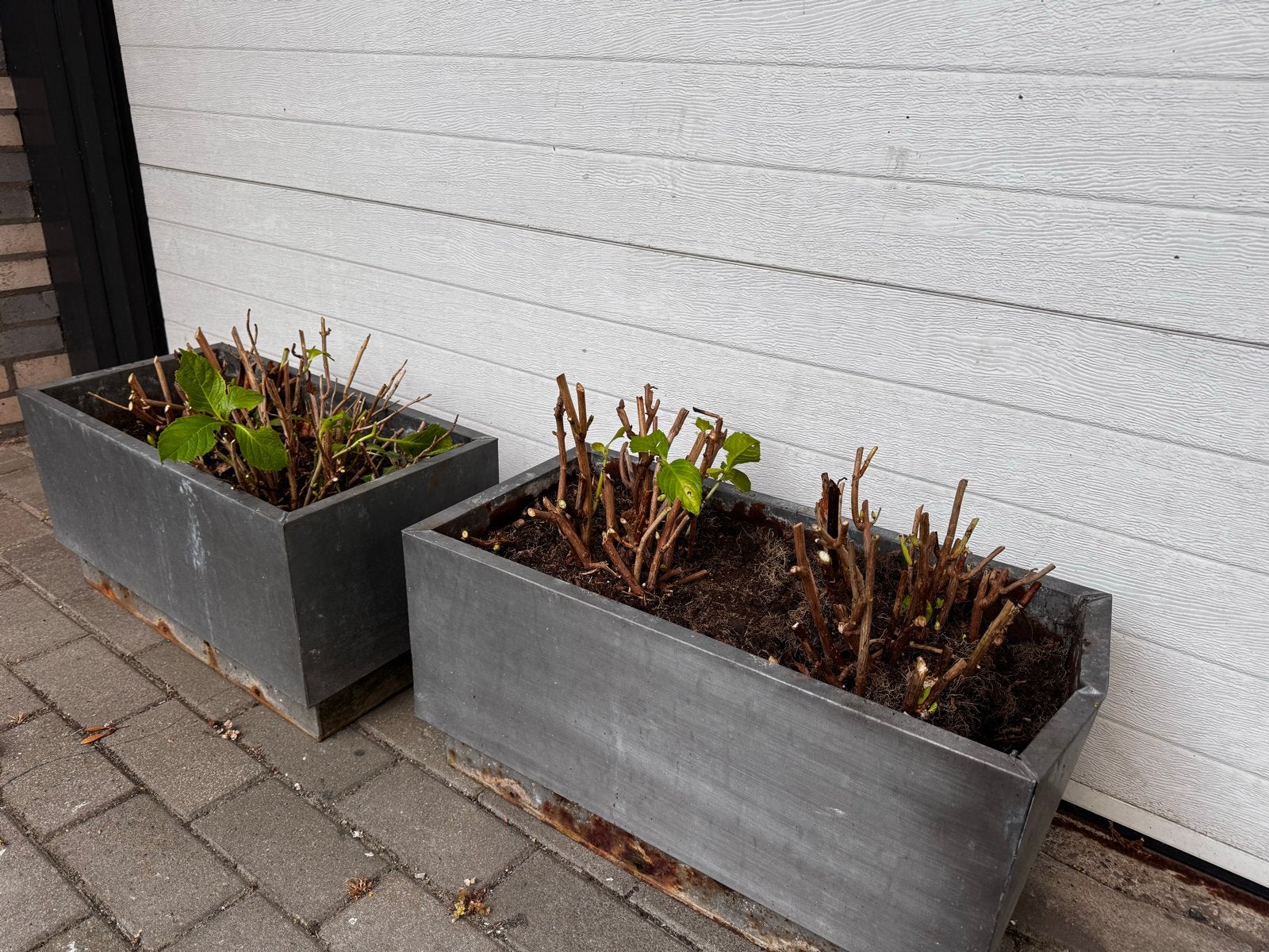 Gratis Hortensia's in Aluminium Bakken zonder bodem, Tuin en Terras, Ophalen, Gebruikt, Minder dan 30 cm, Balkon