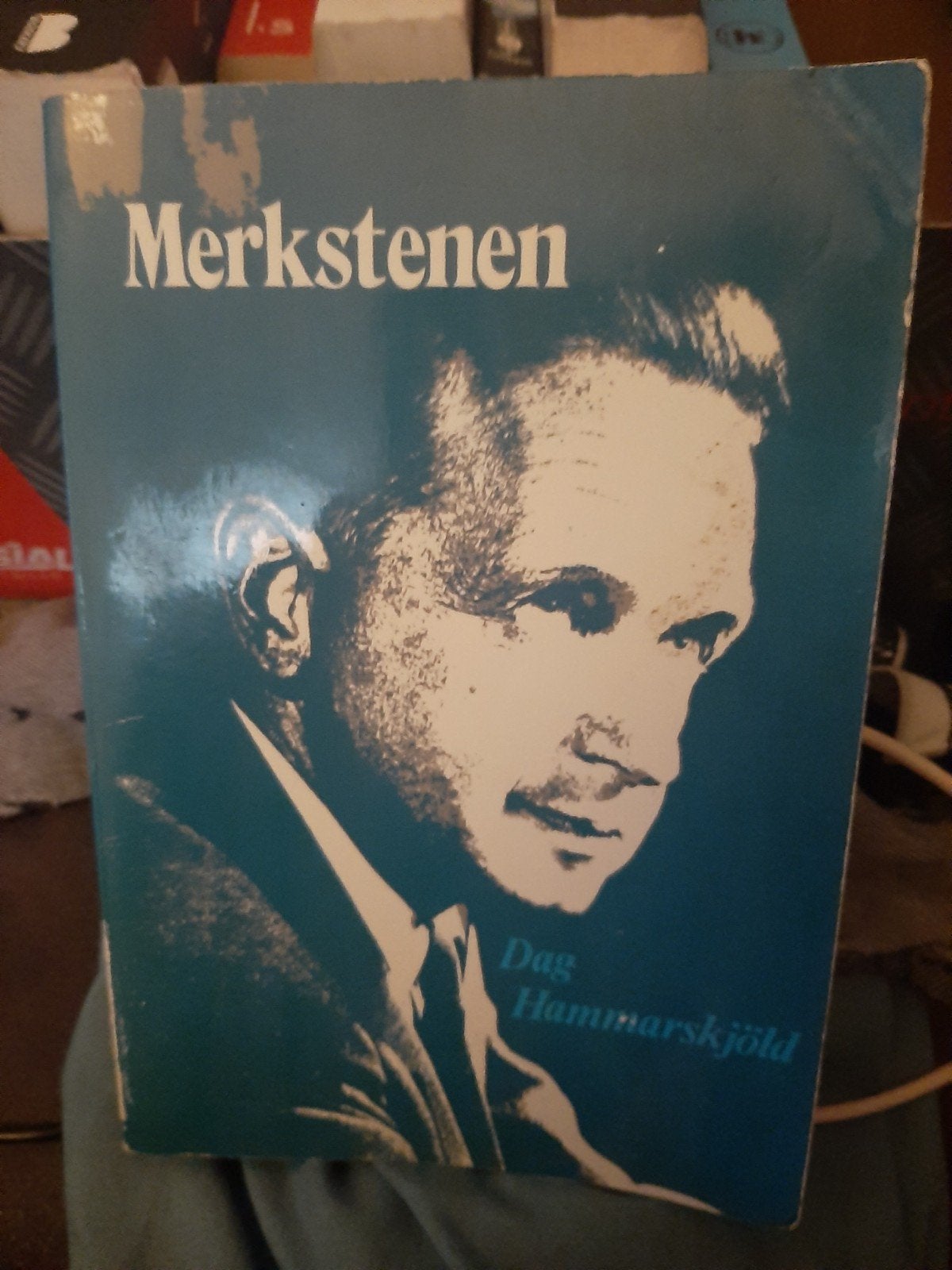 Merkstenen - Dag Hammarskjöld (1978), Boeken, Ophalen of Verzenden, Gelezen, Dag Hammarskjöld, Nederland