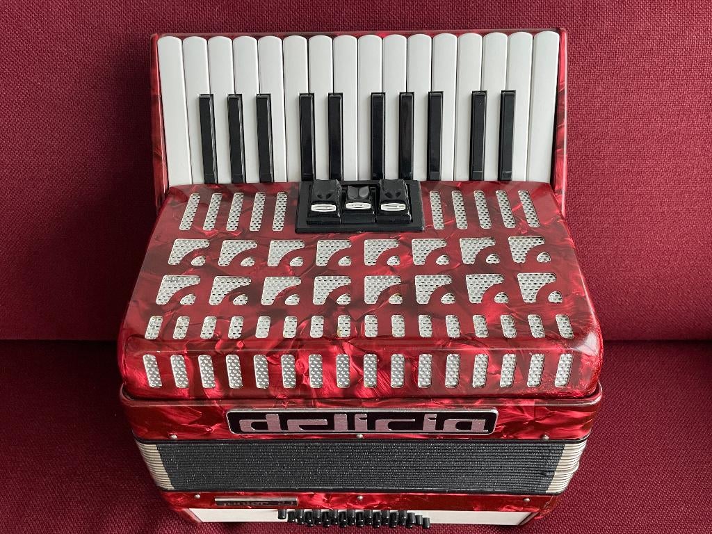 Kleine Delicia Junior 21 accordeon . 32 bas ., Muziek en Instrumenten, Accordeons, Gebruikt, 32-bas, Met koffer, Delicia