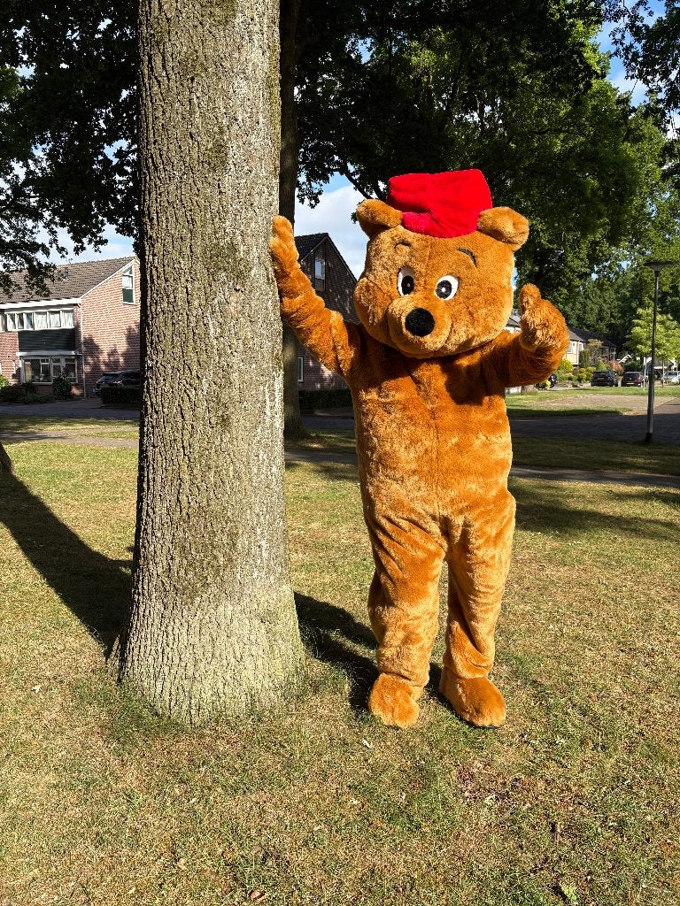 Te huur Professioneel Beren Mascotte Kostuum - Groot & Mooi, Ophalen, Zo goed als nieuw, Overige