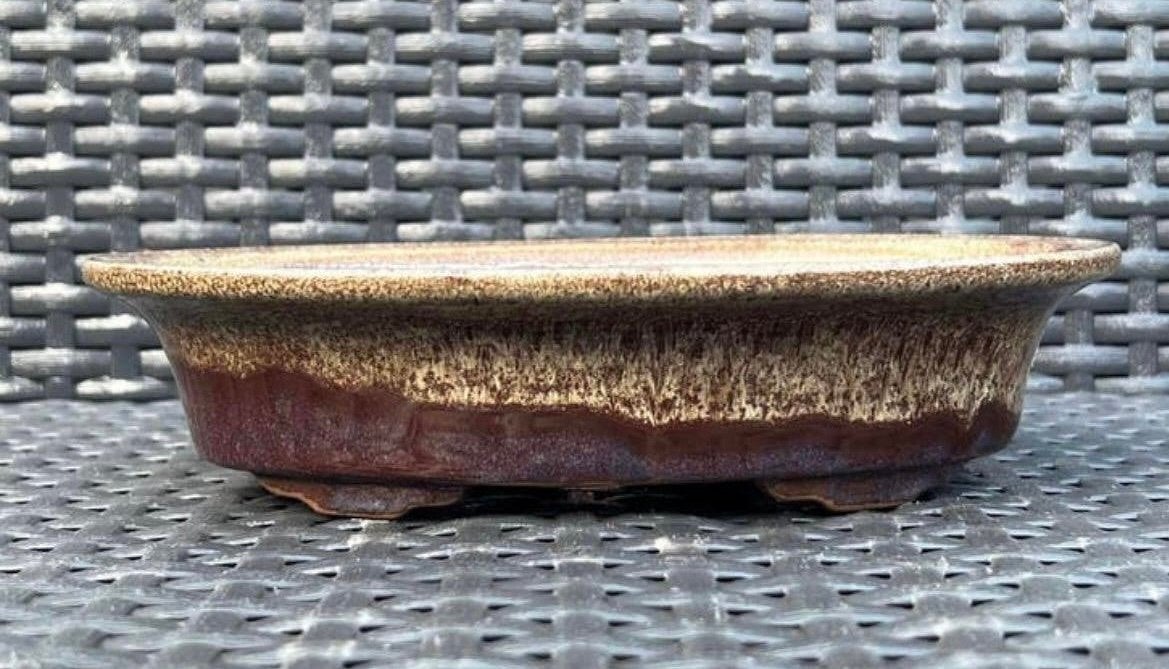 Bonsai schaal handgemaakt crème-bordeaux gemerkt 20,5x14x4,9, Tuin en Terras, Ophalen of Verzenden, Nieuw, Overige vormen, Aardewerk
