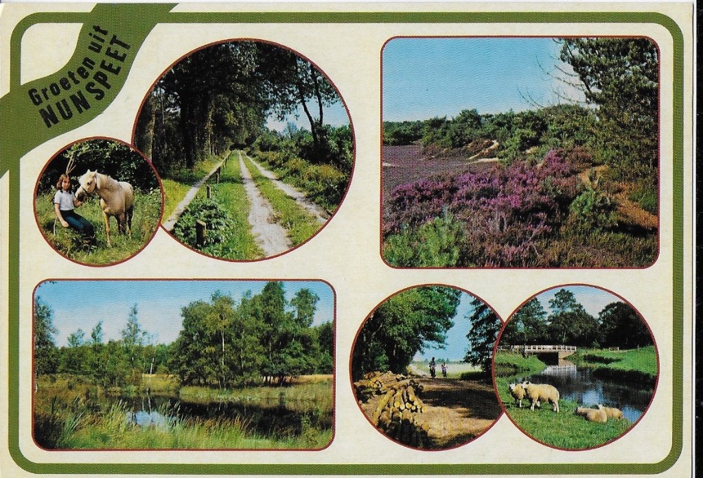 Nunspeet Gelopen ansichtkaart (a255 ), Ophalen of Verzenden, 1980 tot heden, Gelopen, Gelderland