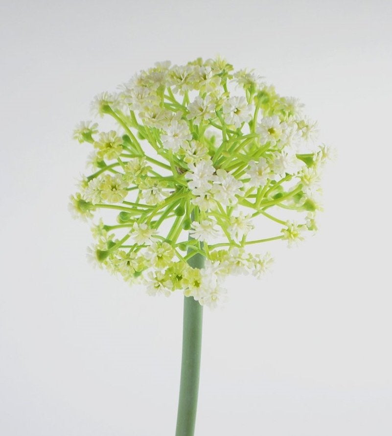 OPRUIMING - ALLIUM - KUNST - WIT & ROZE - VAN 3 EURO NU 1,50