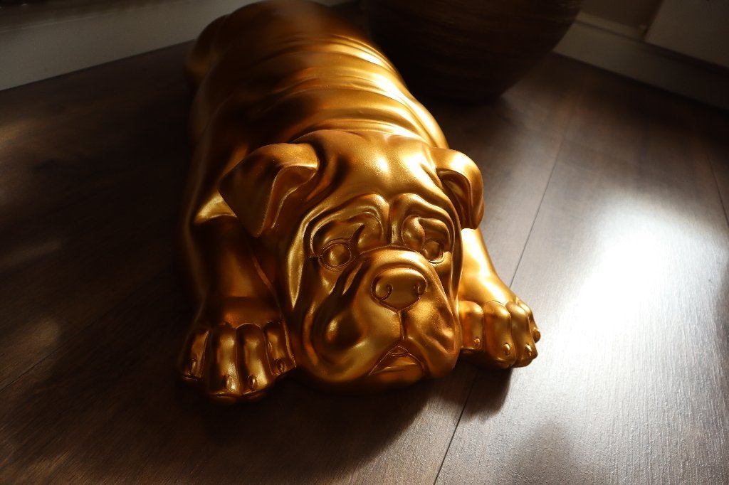Beeld liggende Engelse Bulldog goud 90 cm nieuw, Verzamelen, Ophalen, Nieuw, Dier