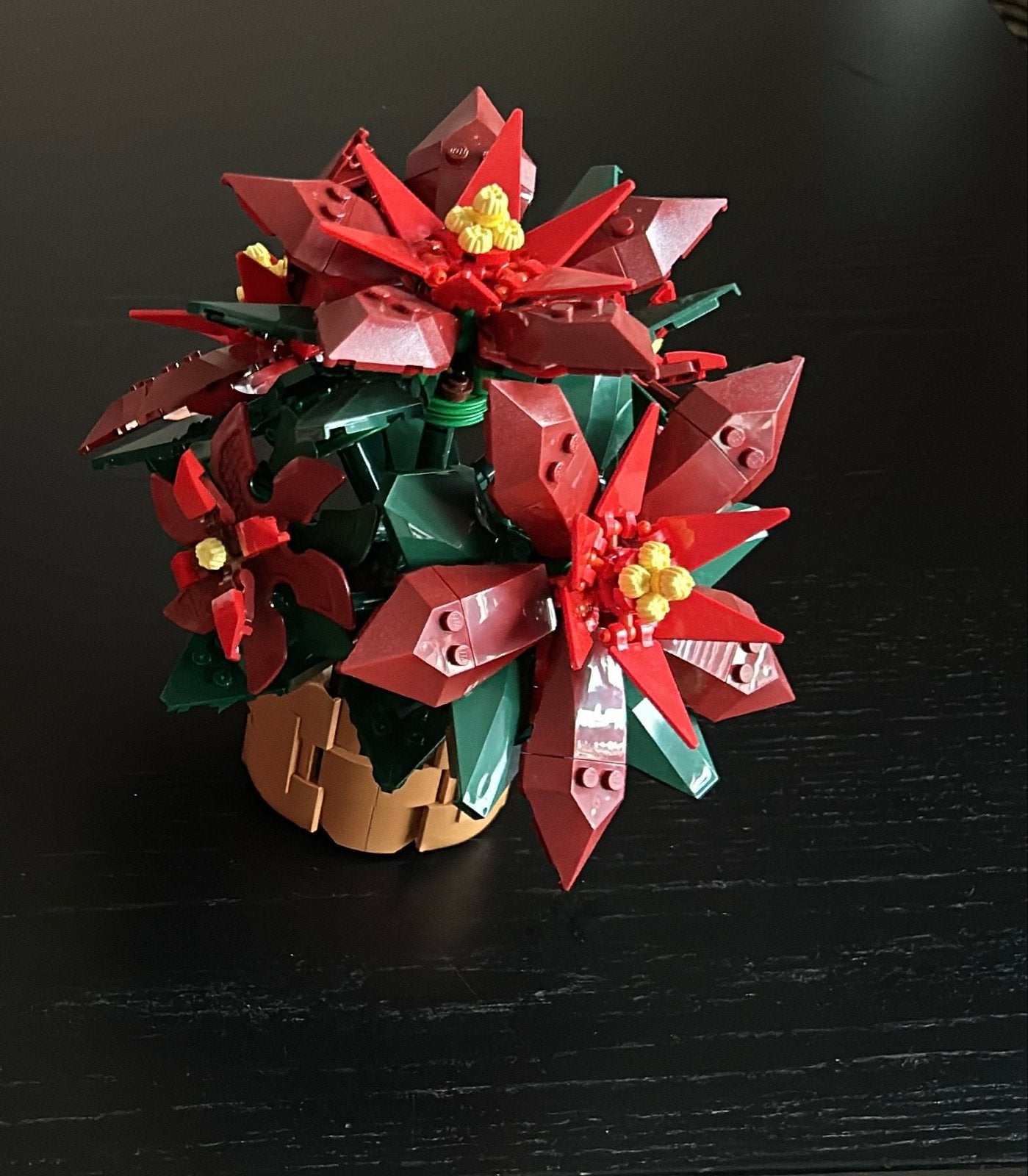 LEGO Poinsettia 10370 - Botanische Collectie ZGAN gesorteerd, Ophalen of Verzenden, Zo goed als nieuw