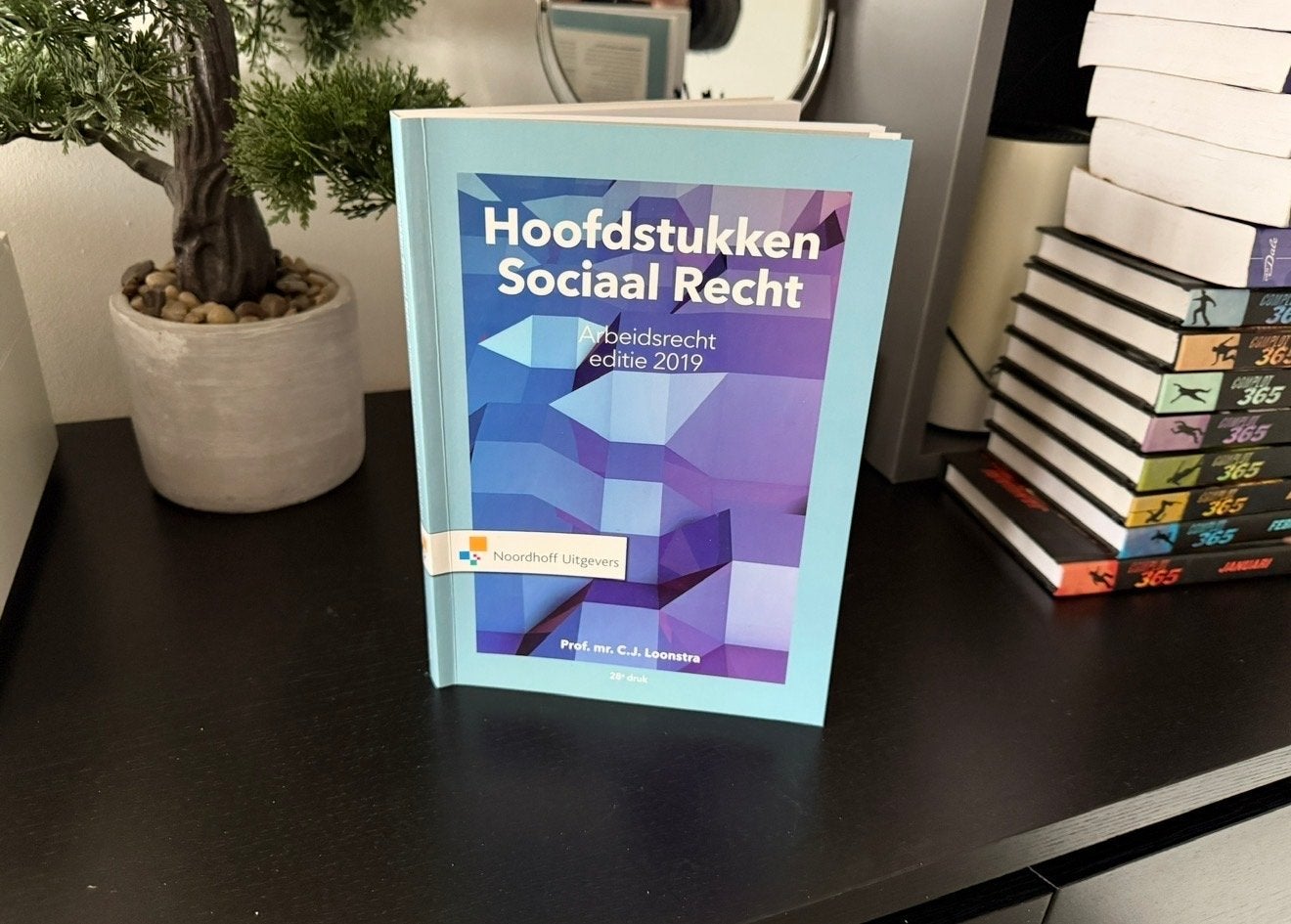 Hoofdstukken Sociaal Recht - Arbeidsrecht editie 2019, Ophalen, Gamma, Zo goed als nieuw, HBO