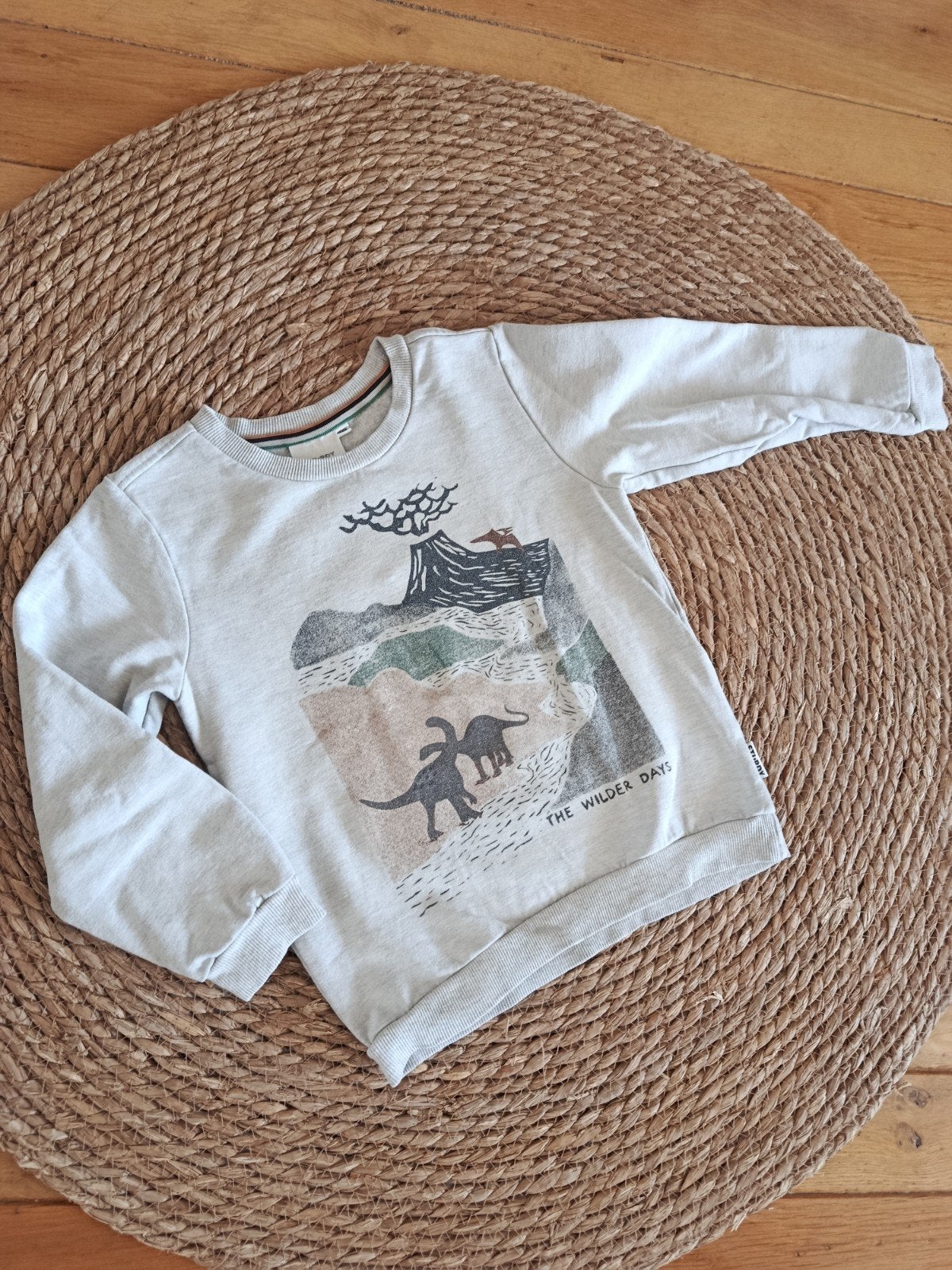 Stoere dinosaurus trui | Sturdy | maat 116, Kinderen en Baby's, Ophalen of Verzenden, Sturdy, Jongen, Trui of Vest