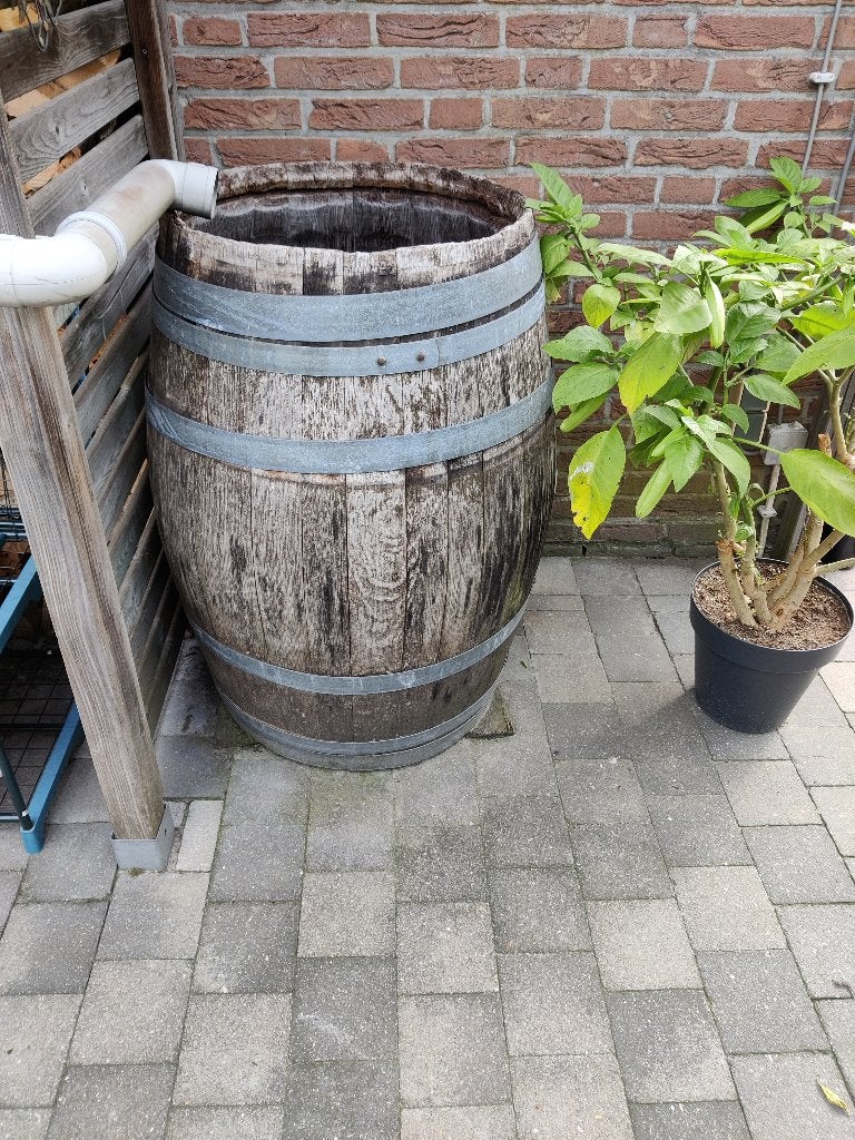 Aangeboden: Houten regenton, Tuin en Terras, 150 liter of meer, Ophalen of Verzenden, Gebruikt, Hout